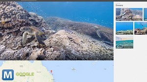 Google Street View Dives Into the World’s Coral Reefs