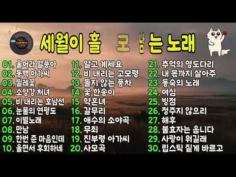 🌸 찔레꽃 · 울어라 열풍아 · 소양강 처녀｜7080 추억의 트로트 명곡 모음 🎧 부모님이 사랑하는 애창곡 BEST 100분