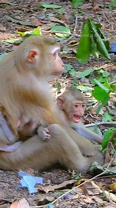 10K views · 1.5K reactions | What's happening why Rainbow crying like that! Luna hugs Rainbow and care her! | Good Or Bad | Facebook