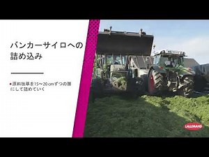 サイレージ調製のポイント：バンカーサイロにおけるグラスサイレージ