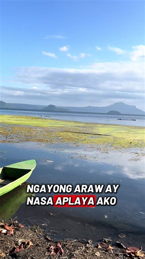 Unlimited na, libre pa! duckweed! Tiba tiba na naman tayo mga ka fishkeeper! #duckweed #molly #platty #guppy #crayfish