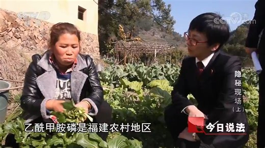 592.特别节目《看得见的正义》 隐秘现场（上）