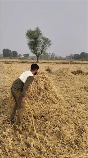last me maza a gaya guys 😂😅🤣#funny#desi#villagelife#viral#youtube#shorts#entertainment#masti#clips