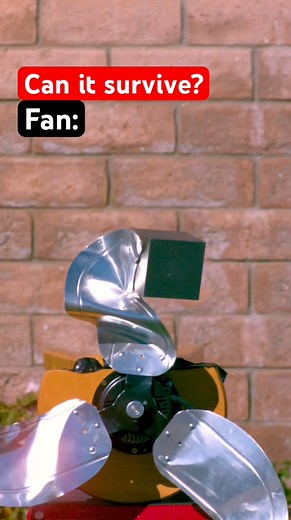 1.1M views · 6.5K reactions | Can it Survive it 樂 #reelfyb #viralreel #catrection #reelfb #vairal #reel | booozy Rect | Facebook