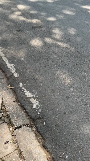 🦋Lolita - Kiệt tác văn học của Vladimir Nabokov phiên bản kỷ niệm 20 năm Nhã Nam "Lolita" là tiểu thuyết đình đám nhất của nhà văn người Vladimir Nabokov. Tác phẩm nổi tiếng với lối viết tinh tế, ngôn ngữ thơ mộng nhưng nội dung cực kỳ nhạy cảm. Mặc dù gây tranh cãi gay gắt, "Lolita" được công nhận là một trong những kiệt tác văn học thế kỷ 20, bán được hơn 50 triệu bản trên toàn cầu. Cuốn sách khám phá sâu sắc về tâm lý con người, sự tha hóa đạo đức và ranh giới mong manh giữa nghệ thuật với đ