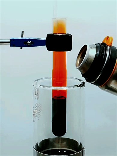 Eon Facts official (@eon_facts)’s videos with original sound - Eon Facts official