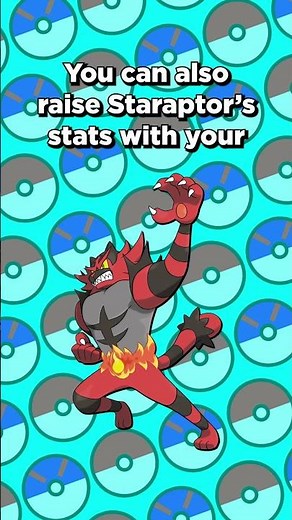 Mega Staraptor's Ability #pokemon #pokemonfacts #pokemonchampions