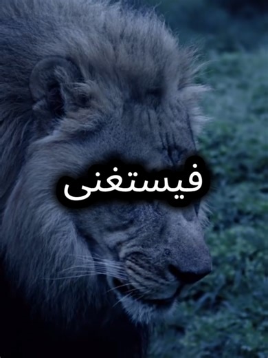 لا تعطي شخص أكبر من حجمه فيتمرد ولا تعطي شخصا اقل من قدره فيرحل.#اقتباسات_عبارات_خواطر #عبارات #اقتباسات