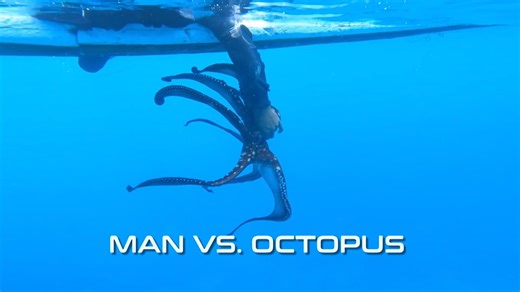 #AmazingEarthPh #Teaser: Simula na ng bagong Friday night habit natin sa part 1 ng ating 5th anniversary special celebration! I-LIKE ang GMA Playground and visit https://bit.ly/2W89m3K to learn and play every day! | Amazing Earth Ph