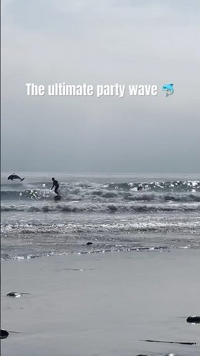 Yesterday at the Toes in the Cove contest at Rincon, a pack of locals showed up to steal the show!