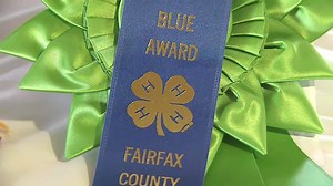 Congratulations to all the winners from last weekend's 4-H Fair at Frying Pan Farm Park! Fairfax County's agricultural future is clearly in good hands. http://www.fairfaxcounty.gov/parks/fryingpanpark/ | Fairfax County Park Authority