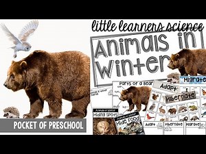 Little Learners Science Animals in the Winter