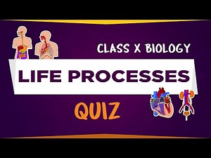 LIFE PROCESSES Quiz | 10th biology | CBSE syllabus | ncert class 10 gradebooster quiz COMBO
