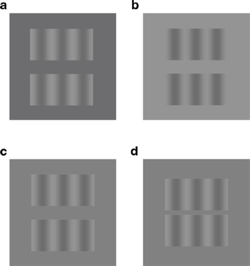 A reevaluation of the visual phantom illusion and its impact on the motion aftereffect - Scientific Reports