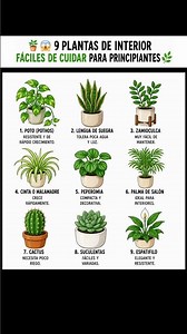 🪴😱 9 PLANTAS de interior FÁCILES DE CUIDAR para PRINCIPIANTES 🌿