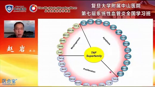 TNF：机制再认识 赵岩 北京协和医院风湿免疫科教授