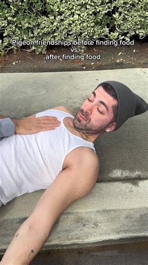 Pigeon friendships before finding food vs after finding food. #fyp #humor #joke