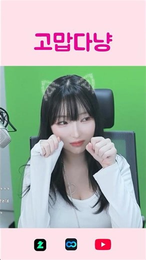 고맙다냥