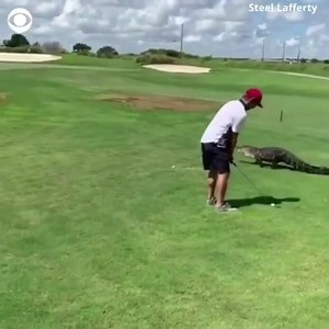 4.2K views · 81 reactions | The Tim Conway, Jr. Show on Reels | Facebook