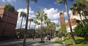 English Courses at University of Florida: Programs 2026 | ViveCampus