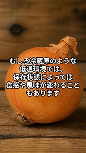玉ねぎの保管場所 #雑学ショート #プチ知識 #冷蔵庫