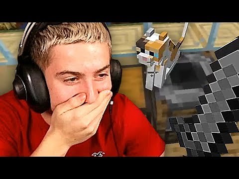 J'AI TUÉ LE CHAT DE DEUJNA ... ! (enfin il s'est passé un truc chelou)