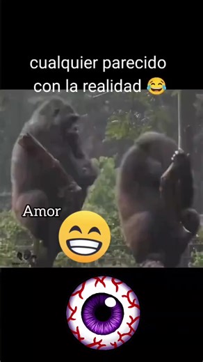 Videos de Pablo Martinez (@pabloalexismartinezpere1) con “sonido original - Pablo Martinez”