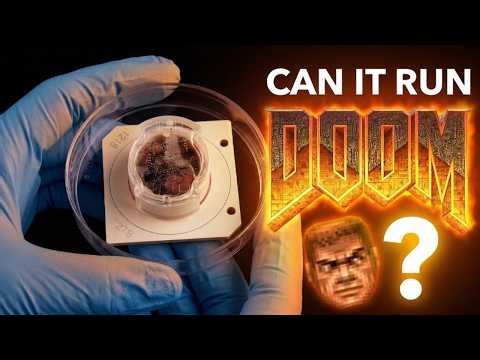The Moment "Can It Run Doom?" Stopped Being Funny