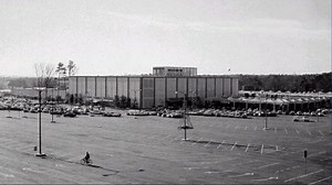 5 Roses | Chapter VII: A confession and a cover up