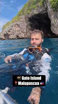 Don't Skip Gato Island When You Dive Malapascua 🇵🇭