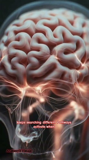 Why Your Brain Forgets a Word 😳 | Inside Your Mind |