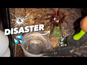 WATERING my TARANTULAS at night ~ GONE WRONG !!! “(Part 12 ??)”