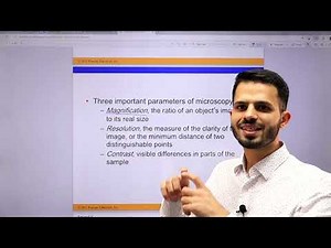 Biology CH 7 Concept 1 + 2