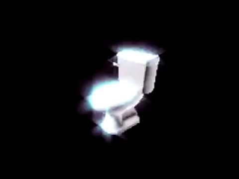 Polish Spinning Toilet