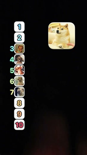 rest in peace og doge dog. ☮️