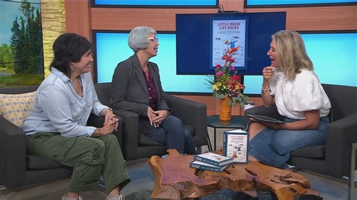 New book: Little House Life Hacks