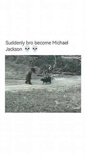 1.6M views · 543K reactions |  Love this song Follow...