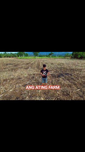 43K views · 356 reactions | Corn Farm ni Mama. | Pinoy Farmer Channel | Facebook
