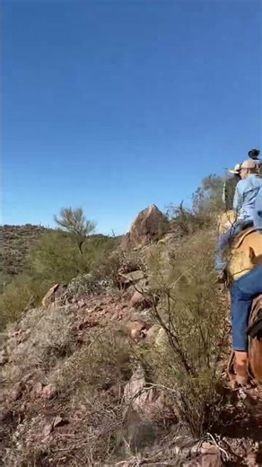 Horseback Riding | Bill Engvall