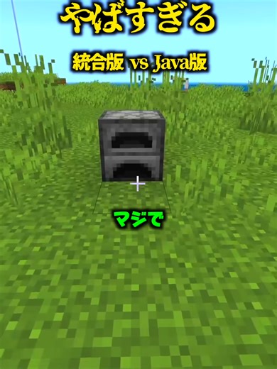 統合版とJava版のマインクラフトの違い