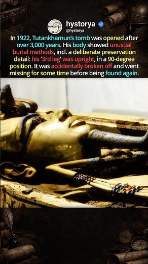 Tut’s Missing Member 🗿 #hiddenhistory #historyshorts