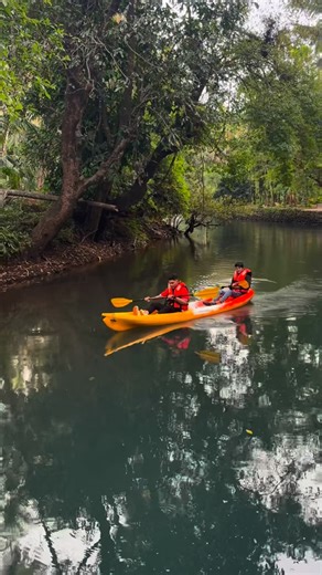 Rohan Shetkar  on Instagram: "SS Wild River Kayaking Just ₹150 || You should not miss this When you’re in Goa Follow @goan_04_explorer for more such content Location:- 📍Near Rock Art Carving Usgalimal Rivona South Goa #kayaking #boat #goa #goabeyondbeaches #southgoa #rivonagoa #nature #insta #goabeauty #goadiaries #goa2025 #goariverkayaking #riverkayaking"