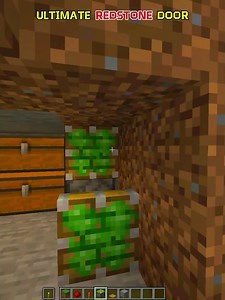 I Built the MOST SECURE Redstone Door in Minecraft 😱#shorts