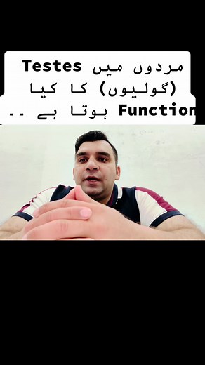 Understanding the Function of Testes in the Male Body