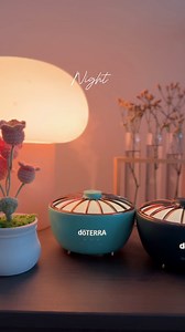 14K views · 381 reactions | These modern, Asian-inspired Hikari Diffusers are waiting for you at Leadership Retreat 2025! Who’s ready to create a peaceful, Zen atmosphere in their space? | doTERRA Business USA | Facebook