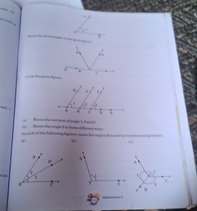 Geometry Questions on Naming AnglesLook at the given figure:... | Filo