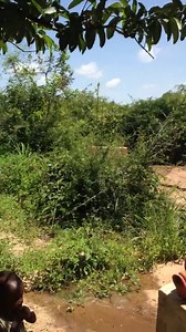 29K views · 667 reactions | Happy days with clean water in Twone Mbee Muselele community in Kenya thanks to the generosity and compassion of our donors. We're so grateful! You CAN make an impact! See how you can make this happen: www.thewaterproject.org | The Water Project | Facebook