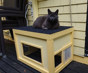 Heated Winter Cat Shelter and Seat