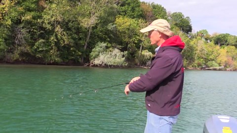 Casting Jigging Spoons for Perch