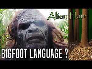 Bigfoot Language: Can Sasquatch Speak?